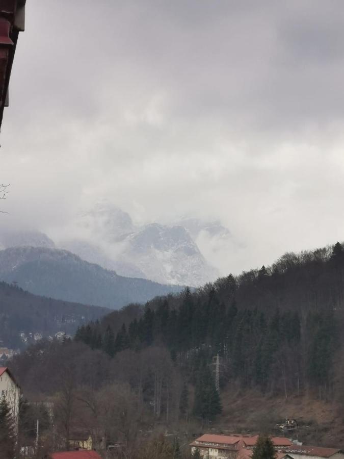 Apartament Panoramic View Sinaia Exterior foto