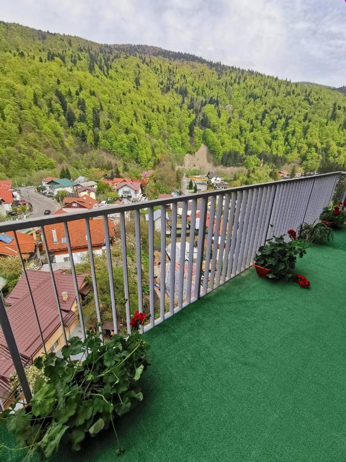 Apartament Panoramic View Sinaia Exterior foto