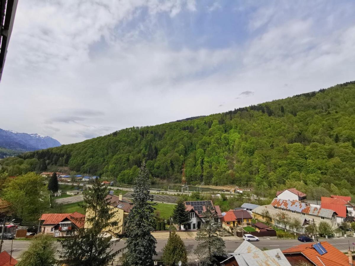 Apartament Panoramic View Sinaia Exterior foto