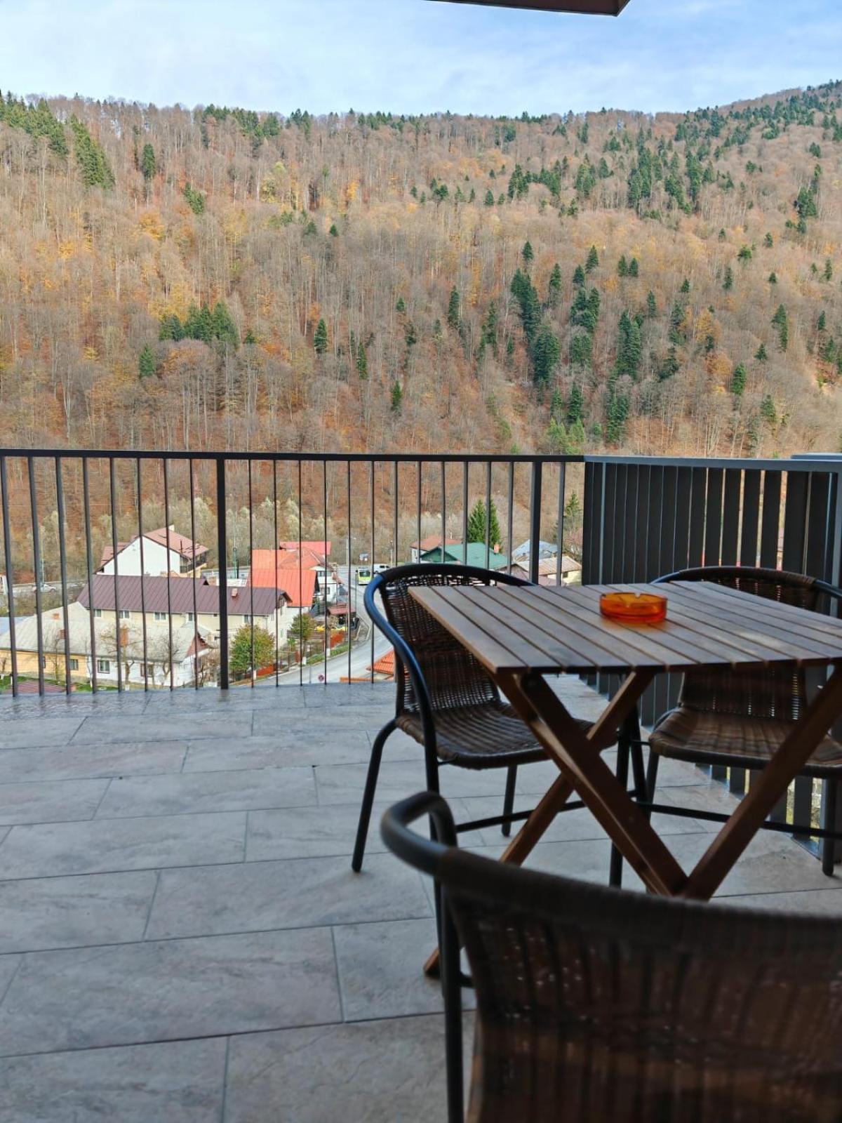 Apartament Panoramic View Sinaia Exterior foto